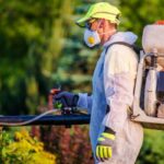 pest control for vegetable gardens