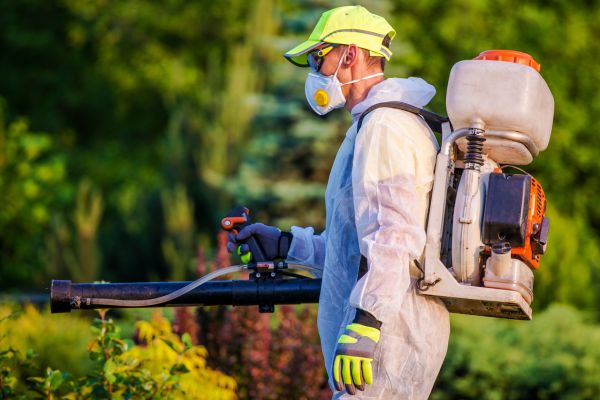 pest control for vegetable gardens